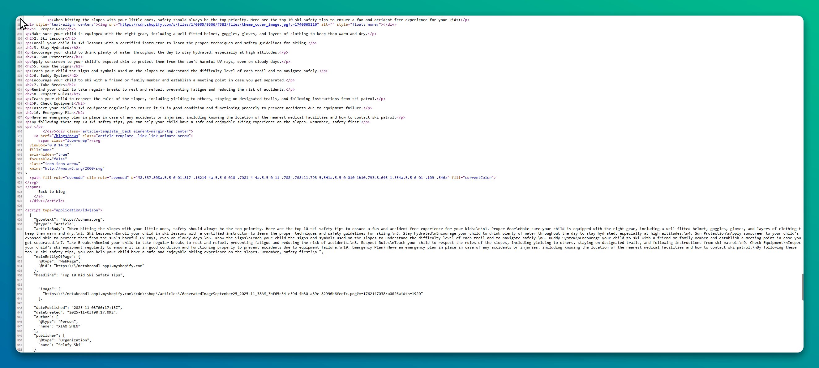 shopify blog screeshot